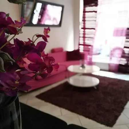 Purpur 3*