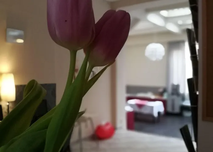 Purpur Отель 3*