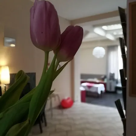 Purpur Hotel 3*